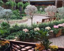 The conservatory located in the park is home to ov The conservatory located in the park is home to over 8000 plants, trees, and flowers which are provided ideal condition and grow in the conservatory d